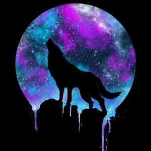 Meet your Posher, Jade